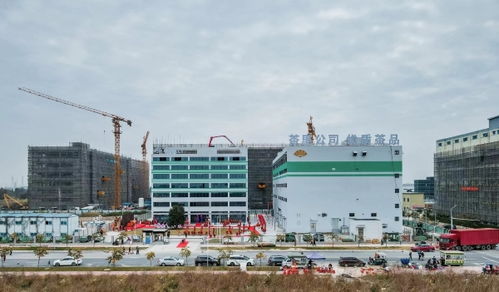 茶里集團南沙總部落成，推動高端袋泡茶標準化、工業化與科技化進程