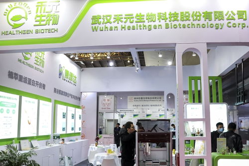 科創板第五套標準重啟落地，三年虧損4.82億元生物科技公司成功過會