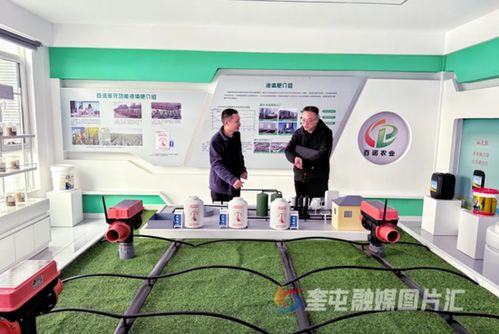 奎屯-獨山子經濟技術開發區 政企銀聯動強鏈補短，技術開發提速園區高質量發展